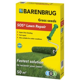  Erba da giardino Barenbrug 1 m² 2 kg