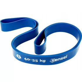  Fascia per esercizi Sensei 40-55 kg 1 pz.