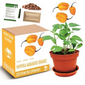  Kit per la Coltivazione del Peperoncino HABANERO ARANCIONE
