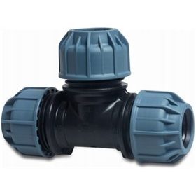  Maglietta pesce 0702