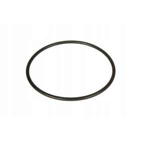  Pompa di superficie Omnigena 1100 W 6000 l/h