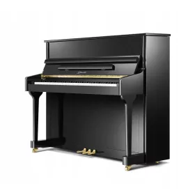  Pianoforte Ritmüller Canon 118 EU, nero lucido