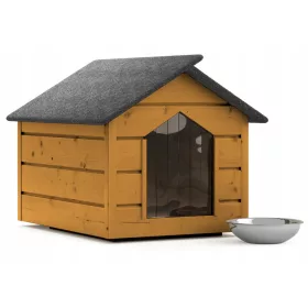  CUCINA PER CANI ISOLATA