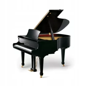    l'imponente pianoforte a coda digitale Pearl River Excellent