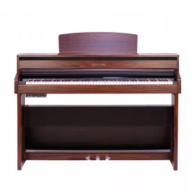  Pianoforte digitale multifunzione Pearl River Master