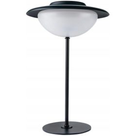  Lampada da giardino RGB con batteria + telecomando 3in1