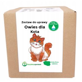  Kit per la coltivazione dell'avena per gatti