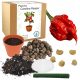  Set per la coltivazione dei semi di peperoncino Carolina Reaper HP22B - THE SPITTEST