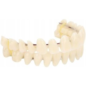  IMPIANTI DENTI ARTIFICIALI DENTI PROTESI IN RESINA