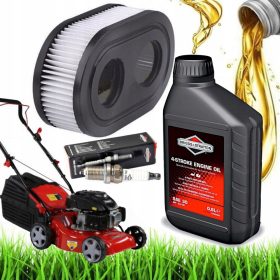  Olio per rasaerba Briggs & Stratton 100005E SAE30 0,6l