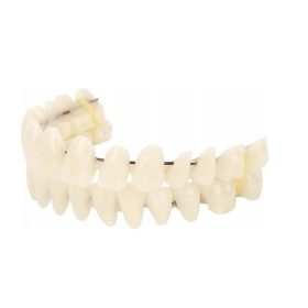  Protesi in resina per denti A2