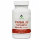  MedFuture Tribulus terrestris capsule 60 pz.