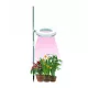  GROW lampada da terra per la coltivazione di piante Sunmag 20 W