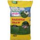  Erba sportiva Sumin 200 mq 5 kg