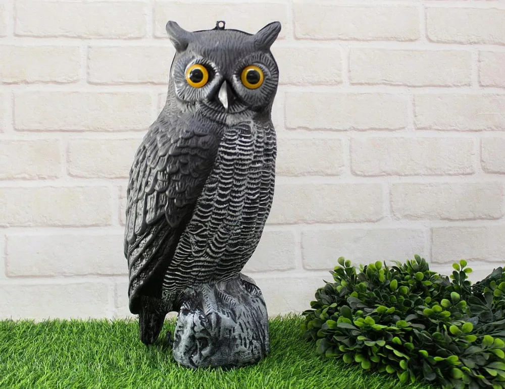 Trendstern Trendprodukteshop Zerbino con motivo gufo, gatto