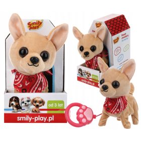    CANE DA GIOCO SORRIDENTE UN CANE CHE CAMMINA AL GUINZAGLIO STA CUCINANDO