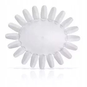  CAMPIONE DI LUCIDI IBRIDI HYBRID SUNNY CLEAR 20 PUNTE