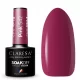  Claresa Hybrid Pink 542 unghie rosa BLASZ