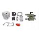  KIT RIPARAZIONE SEGA CINESE PN5200 43-58cc