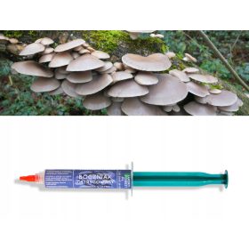  OYSTER MUSIC - Micelio liquido 10 ML