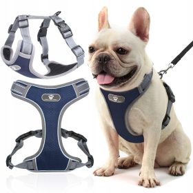    PETTORINA PER CANE PICCOLO, SENZA PRESSIONE, FORTE, DUREVOLE, RIFLETTENTE, REGOLABILE