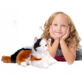    Peluche gatto mascotte peluche grande gatto come un regalo vivente lungo peluche