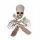  Scheletro in plastica Fiestas Guirca 1 cm