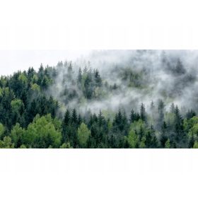  Sottomano protettivo alla moda 120x60 foresta nella nebbia