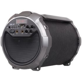  XX.Y S28 Sistema audio portatile Bullet 2 microfoni