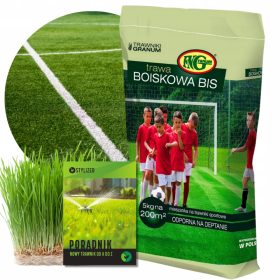  Erba sportiva Granum 200 mq 5 kg