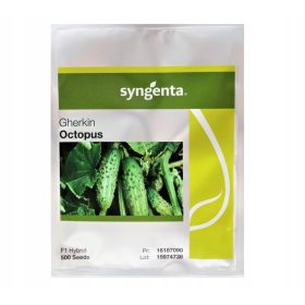  Cetriolo Polpo Olandese 500 semi