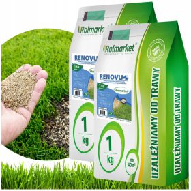    Miscela di erba, giardino, ristrutturazione Rolmarket 80 m² 2 kg