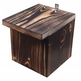  Una GRANDE casa per bombi e vespe