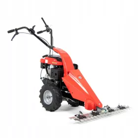    Rasaerba a scoppio senza cesto Favorit capacità 196 cm³. cestello 0 l (dm³) l 87 cm