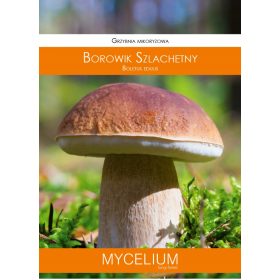  Mycelium porcini micelio 60 ml