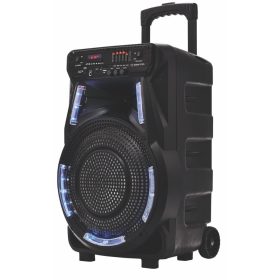   Grande altoparlante Bluetooth Radio Microfono Karaoke portatile Manta SPK5033