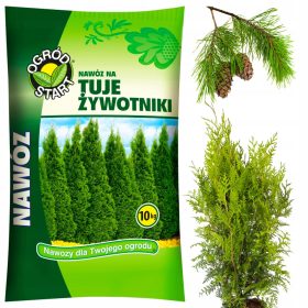    Ampol-Merol fertilizzante multicomponente granulato 10 kg 10 l