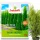  Concime Inco Fruktovit per tuia 10 kg