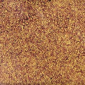  Erba RajOgrodnika 800 m² 1 kg