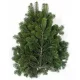  RAMI DI ABETE del Caucaso 3 kg 14 - 18 pezzi