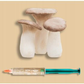  SWEET OYSTER MUS - Micelio liquido 10 ML