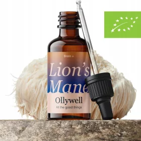   Ollywell - Potente Estratto di Lion's Mane Biologico, Produzione Polacca Premium