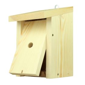  Casa dei calabroni, casa degli insetti