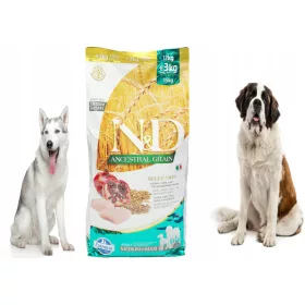  Farmina cibo secco pollo 15 kg