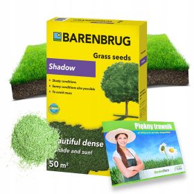    Erba decorativa, per zone d'ombra, giardino Barenbrug 50 m² 1 kg + Bellissimo prato - consigli pratici degli esperti Lavoro collettivo