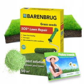    Erba da risanamento Barenbrug 50 m² 1 kg + Bellissimo prato - consigli pratici degli esperti Lavoro collettivo