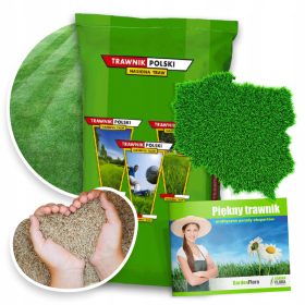    Erba decorativa, da giardino e sportiva Barenbrug 250 m² 5 kg + Bellissimo prato - consigli pratici degli esperti Lavoro collettivo