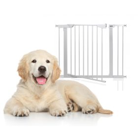    Binario per porta HanksKids, scala di espansione, estensioni bianche