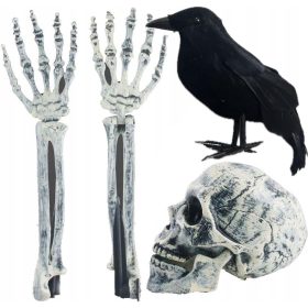    CRANIO ARTIFICIALE CON LE MANI CHE SPORGONO DAL TERRENO HALLOWEEN