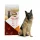  MyCrock mangime secco per carne di manzo 20 kg